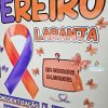 Painel fevereiro roxo e laranja - Image 4