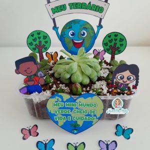 Meu terrário
