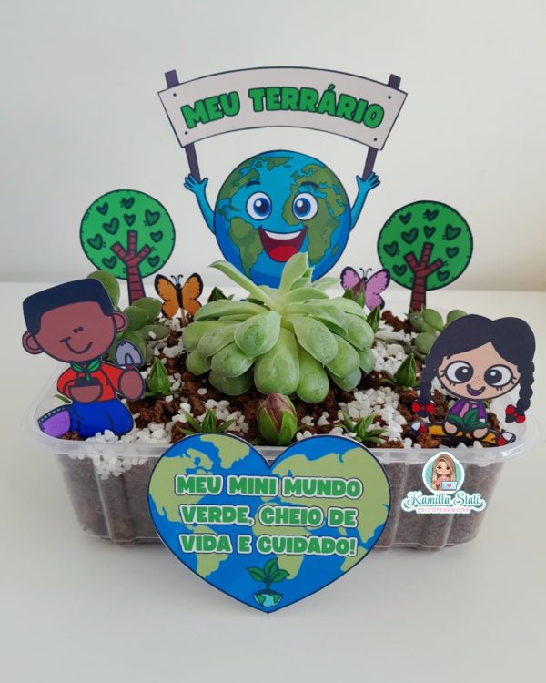 Meu terrário - Imagem 2