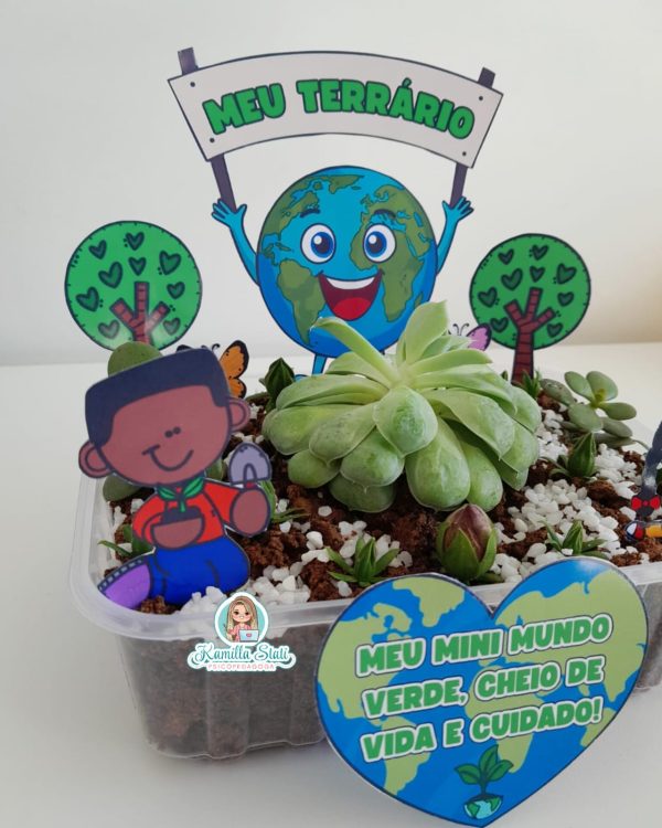 Meu terrário - Imagem 5