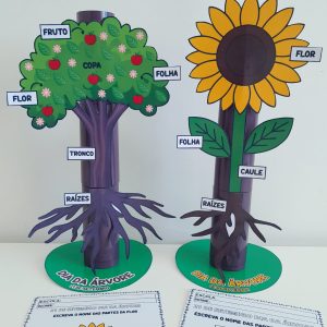 Partes da planta no rolinho