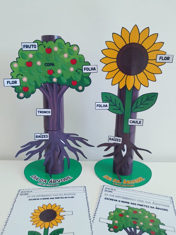 Partes da planta no rolinho