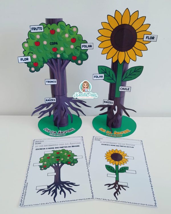 Partes da planta no rolinho - Imagem 2