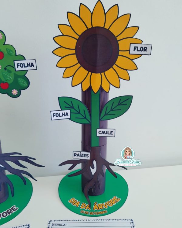 Partes da planta no rolinho - Imagem 4