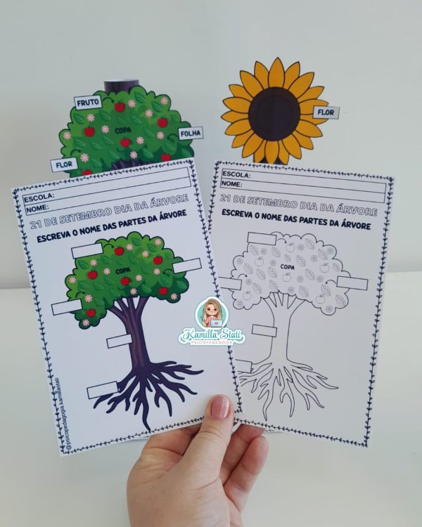 Partes da planta no rolinho - Imagem 6