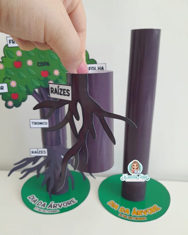 Partes da planta no rolinho - Imagem 7