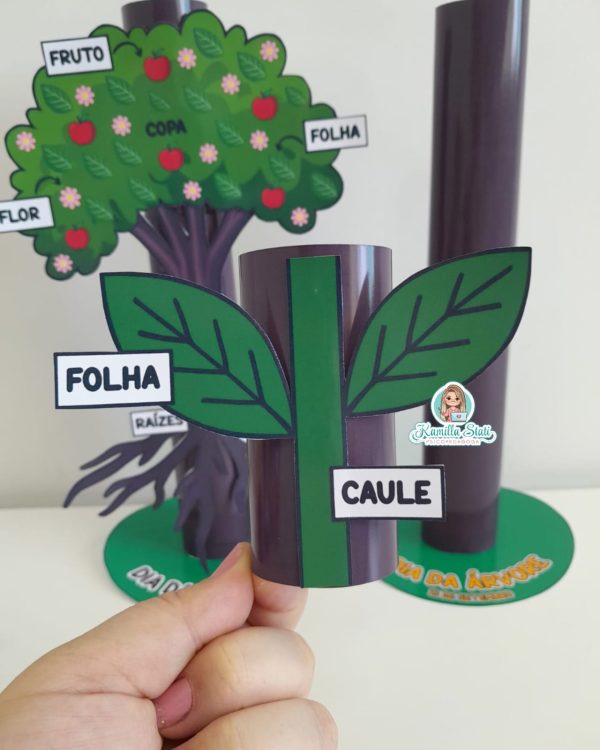 Partes da planta no rolinho - Imagem 8