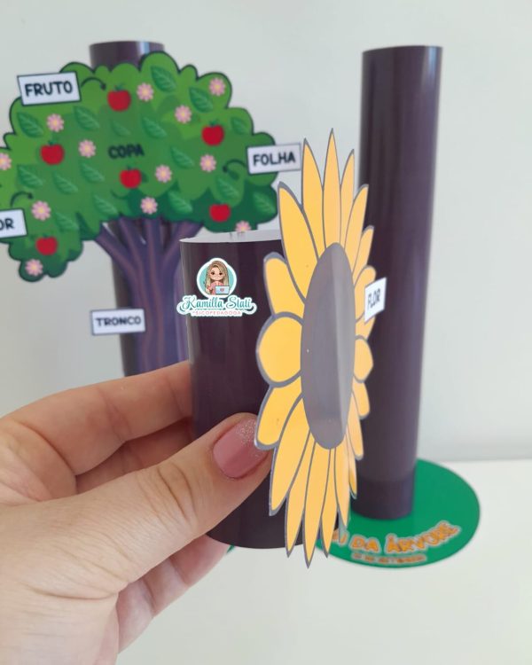 Partes da planta no rolinho - Imagem 9