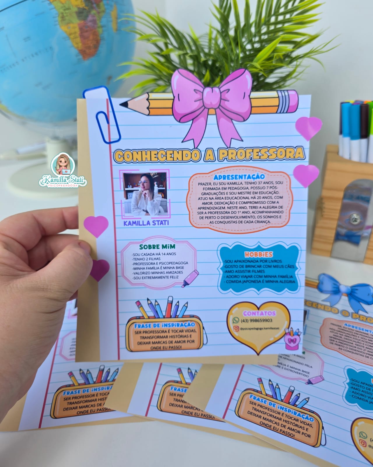 Conhecendo a Professora