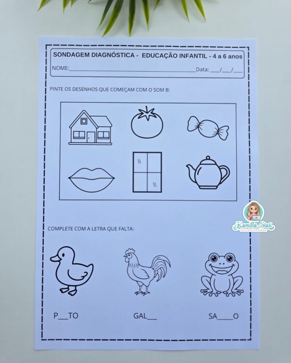 Sondagem Diagnóstica – 4 a 6 anos | Educação Infantil - Psicopedagoga ...